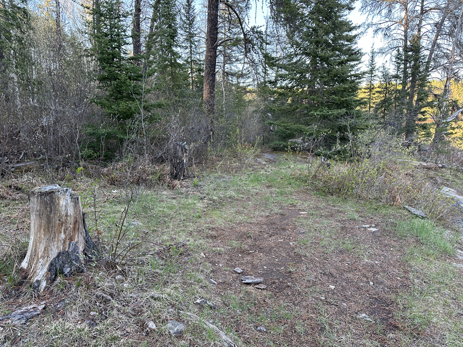 Lake Four Campsite 6