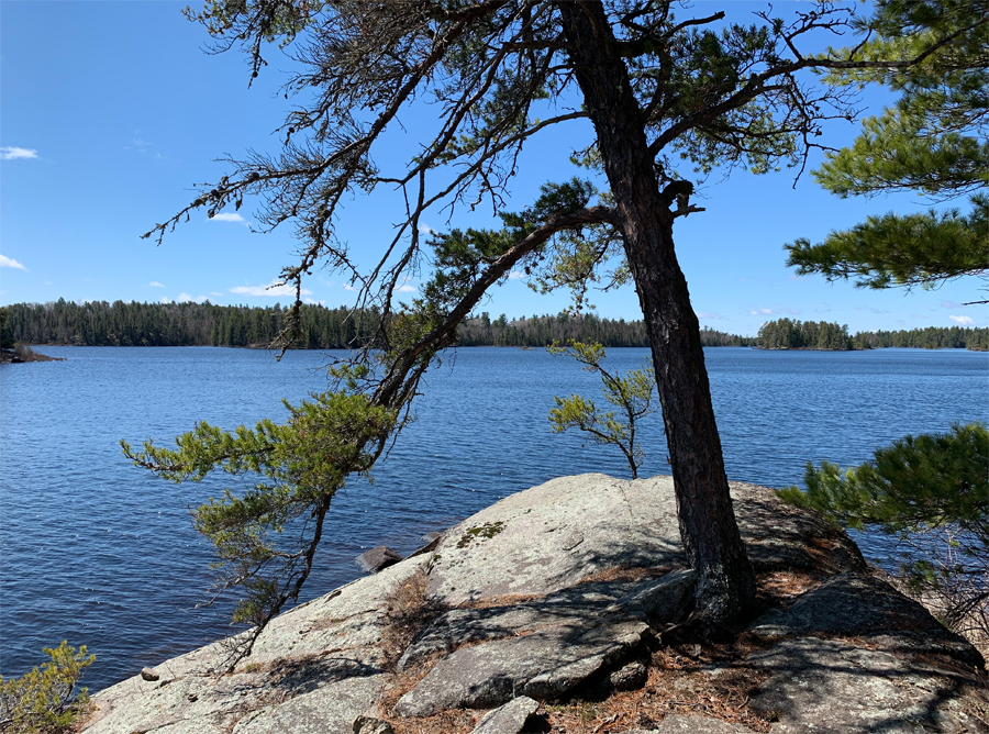 Lake One Campsite 8