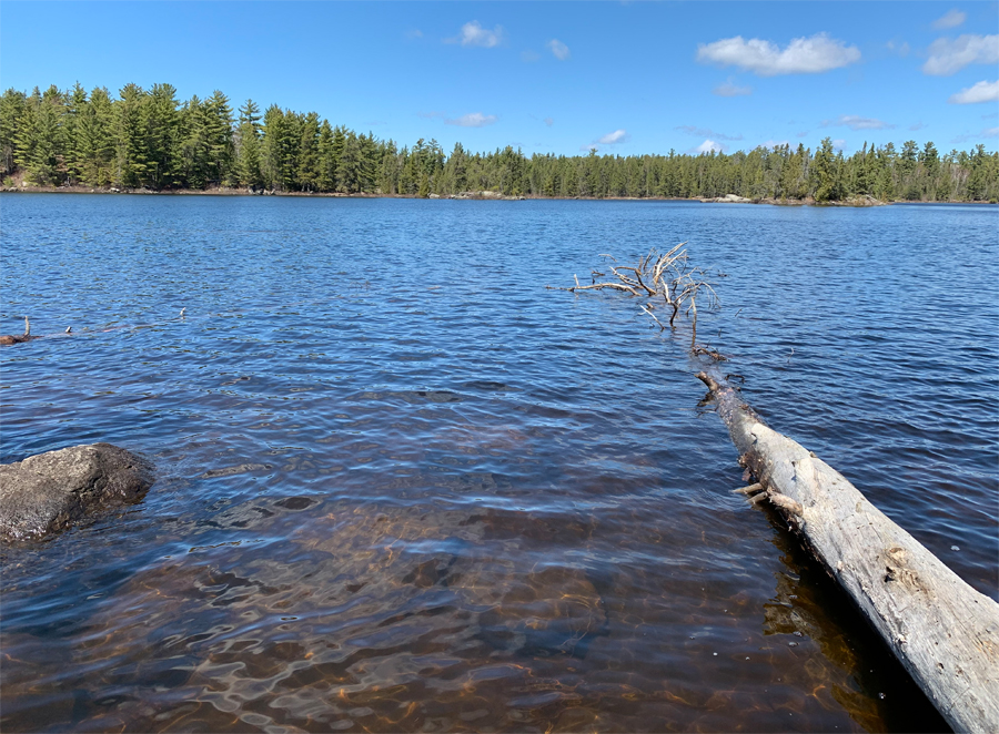 Lake One Campsite 10