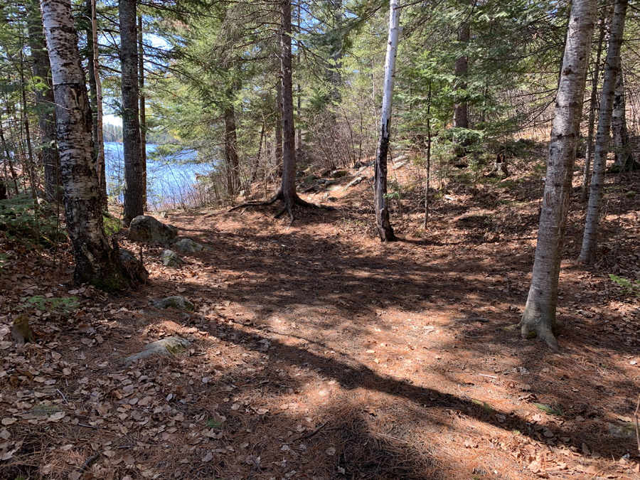 Lake One Campsite 8