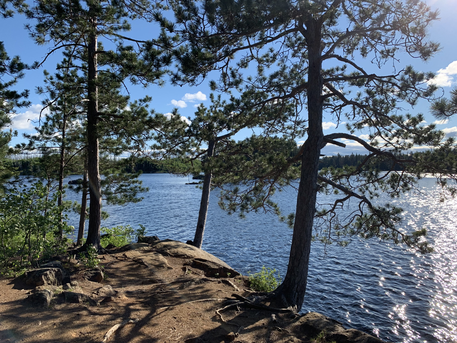 Lake One Campsite 8