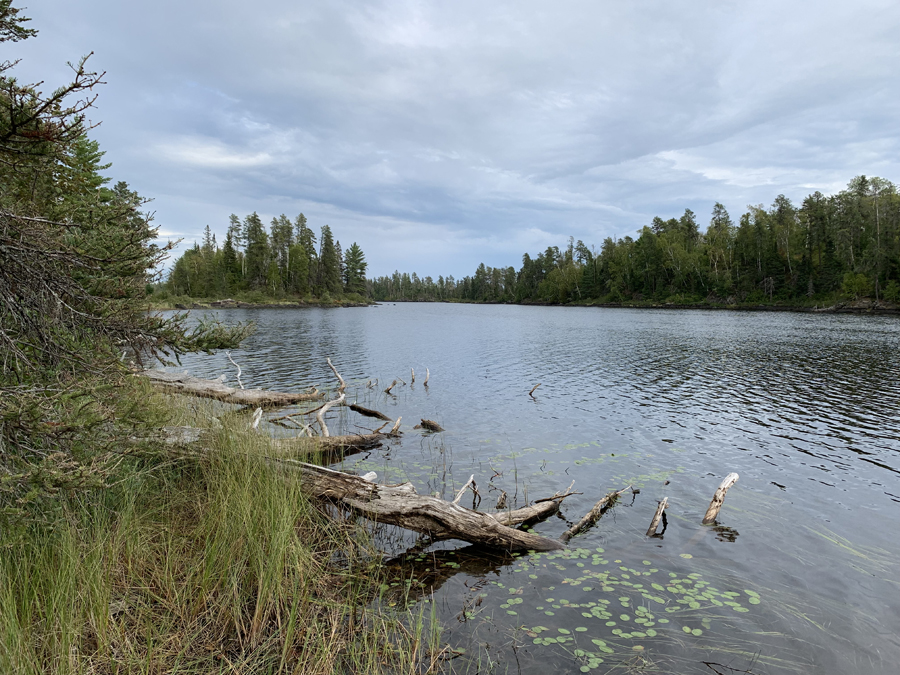 Lake One Campsite 7