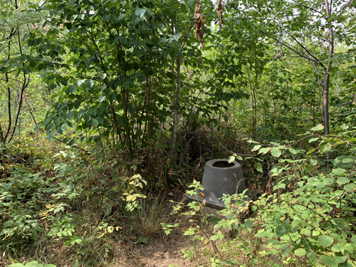 Lake Three Campsite 8a