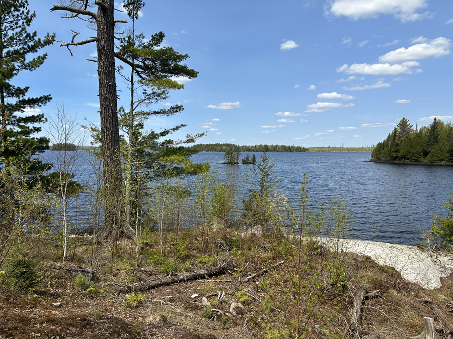 Lake Three Campsite 8