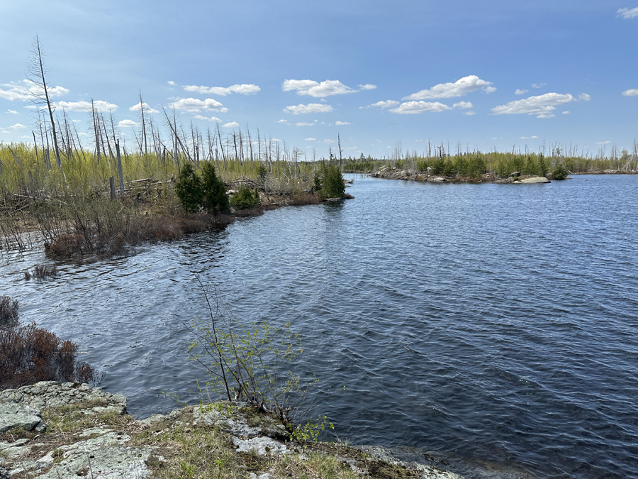 Lake Three Campsite 9