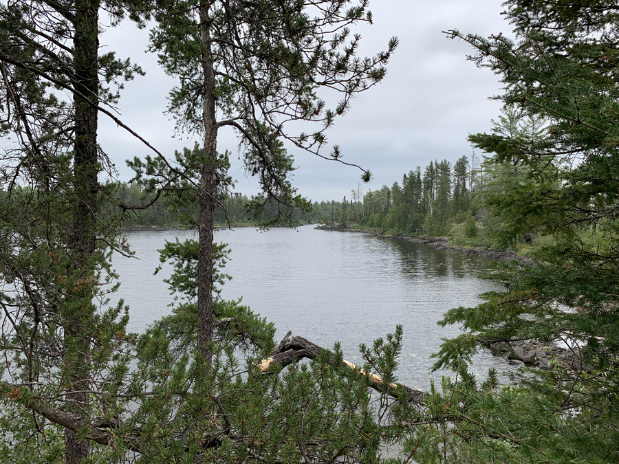 Lake Two Campsite 8