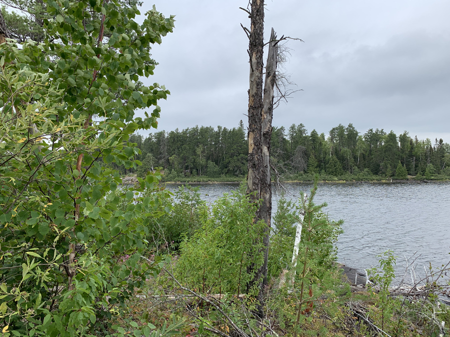 Lake Two Campsite 8