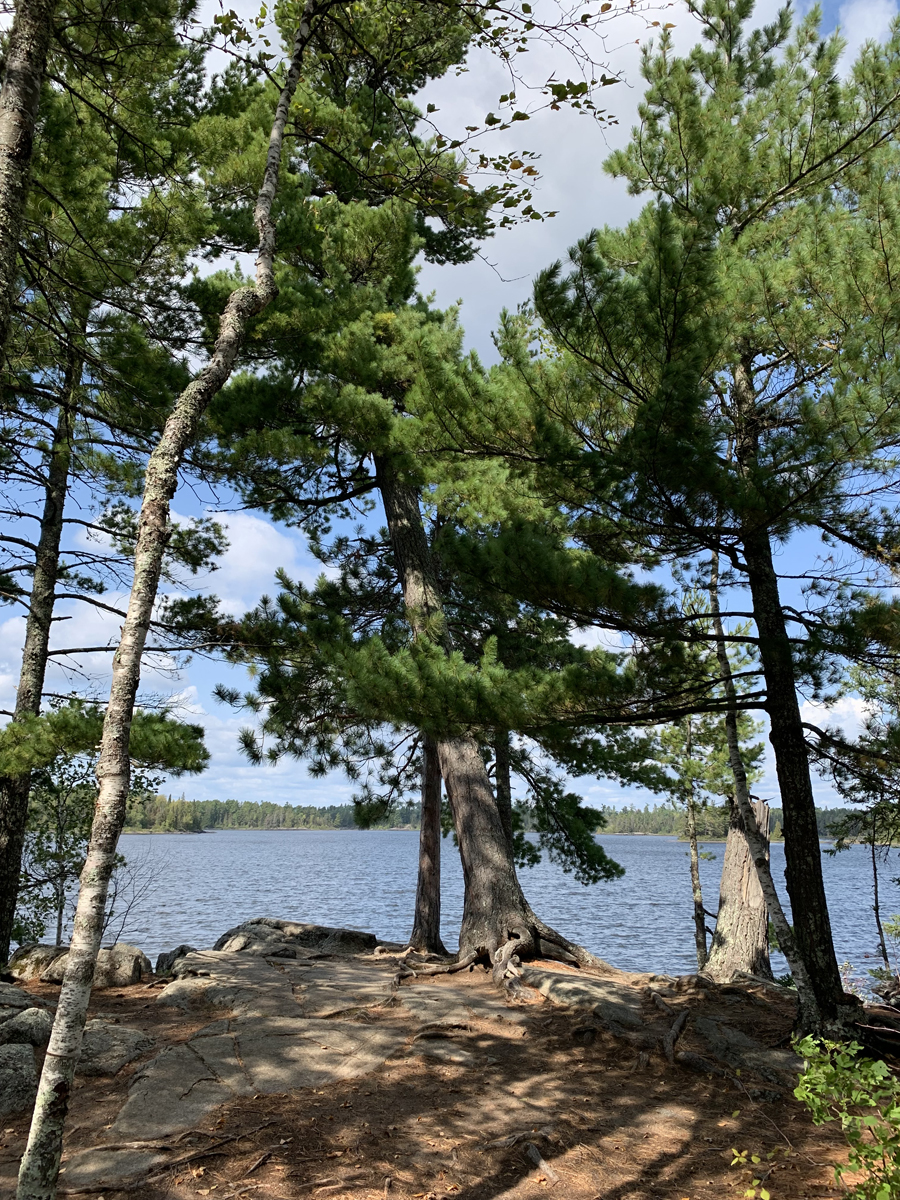 Lake Two Campsite 8