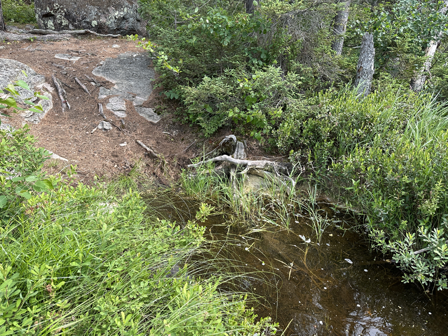 North Hegman Lake to Little Bass Lake Portage 1