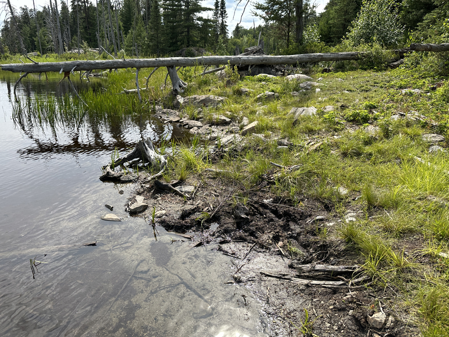 North Hegman Lake to Little Bass Lake Portage 3