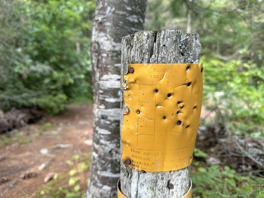 Little Bass Lake BWCA Campsite 9