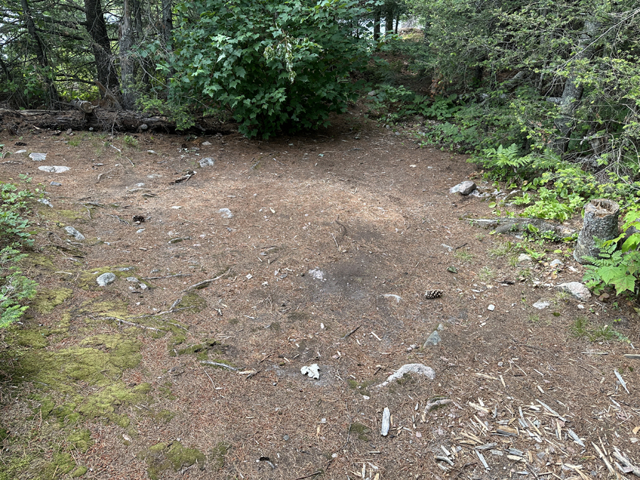 Little Bass Lake BWCA Campsite 4