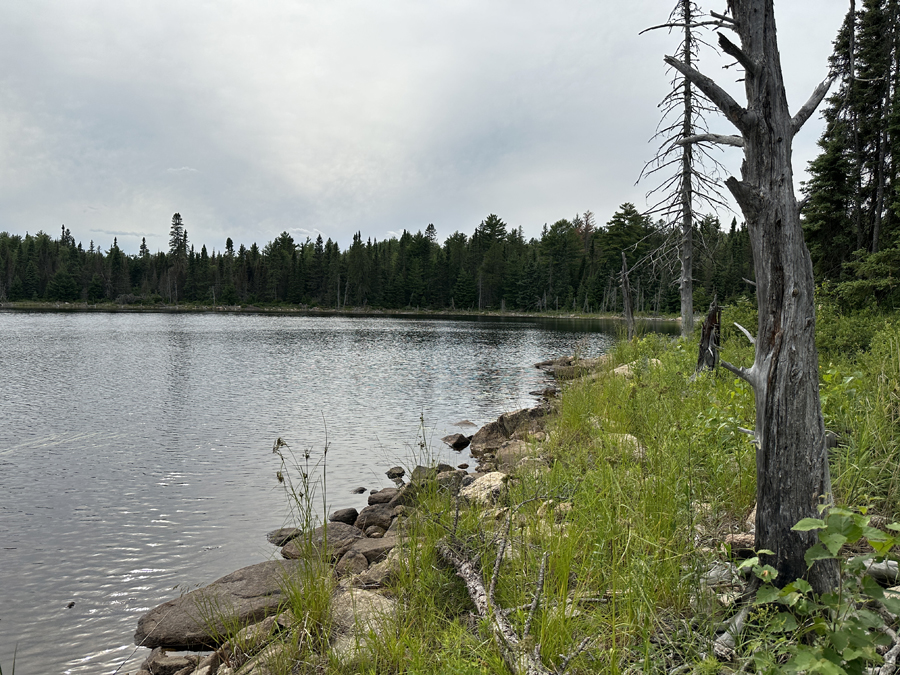 Little Bass Lake BWCA Campsite 6