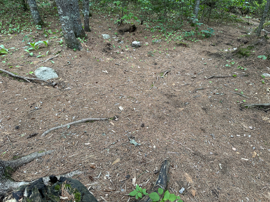 Little Bass Lake BWCA Campsite 4