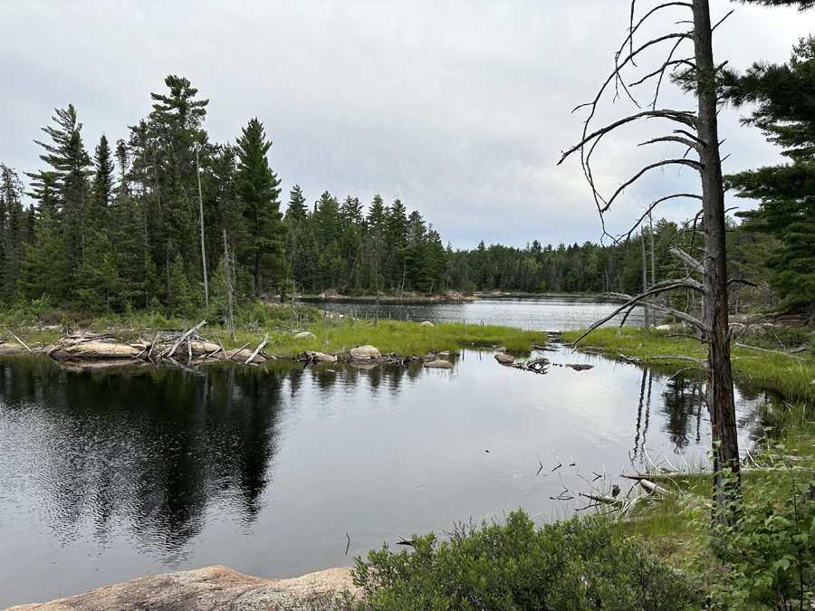 Little Bass Lake BWCA Campsite 7