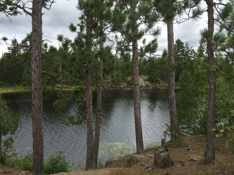 Little Gabbro Lake Campsite 5