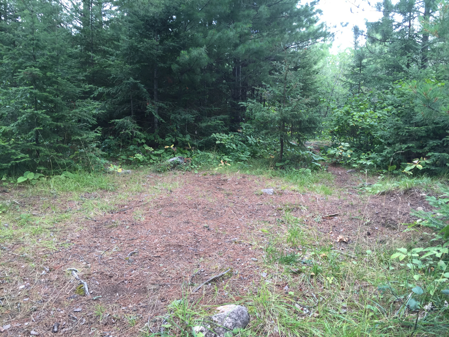 Little Gabbro Lake Campsite 5