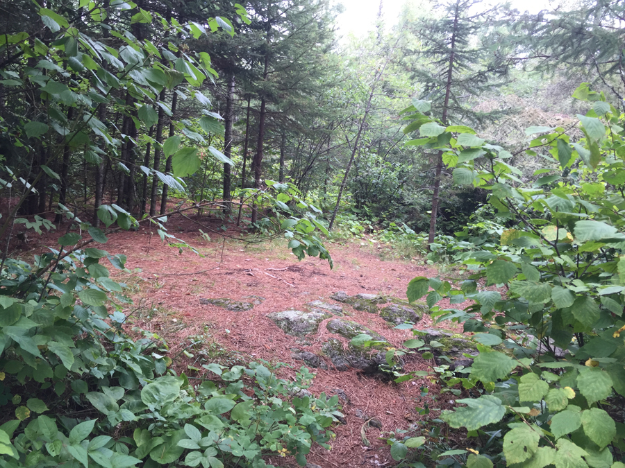 Little Gabbro Lake Campsite 4