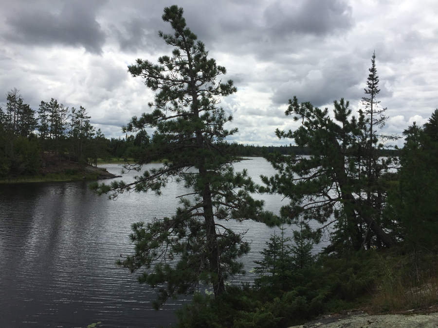 Little Gabbro Lake Campsite 6