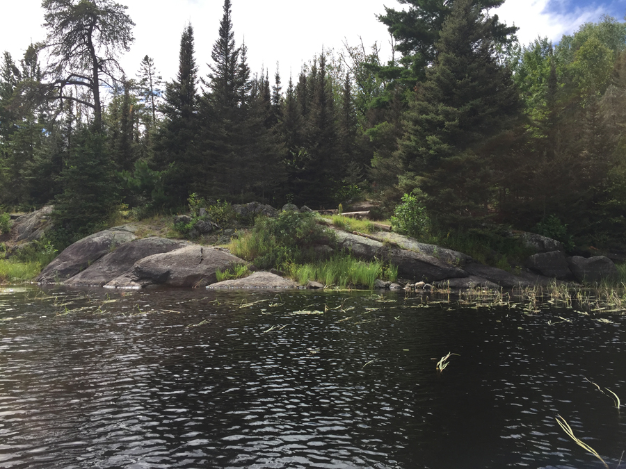 Little Gabbro Lake Campsite 1