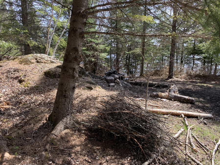 Moose Lake Campsite 4