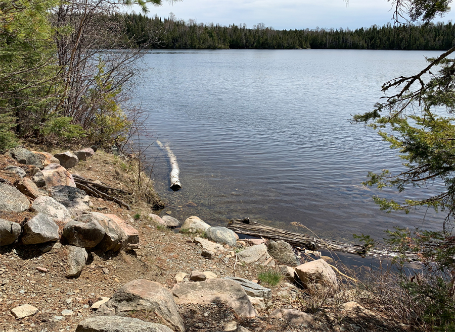 Moose Lake Campsite 2