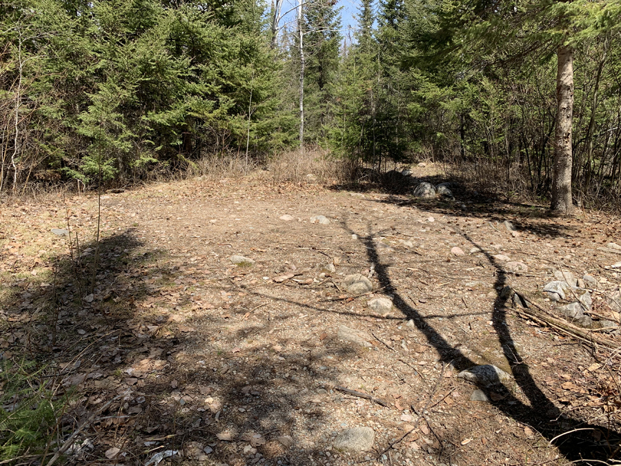 Moose Lake Campsite 4