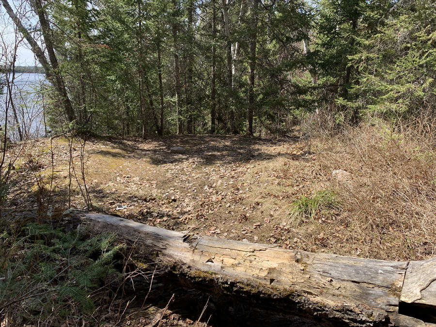 Moose Lake Campsite 6