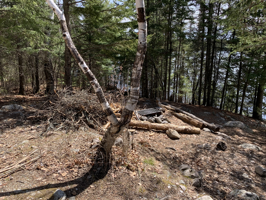 Moose Lake Campsite 7