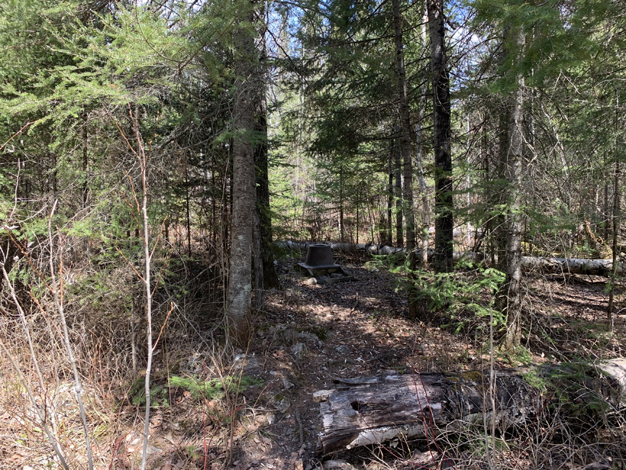 Moose Lake Campsite 9