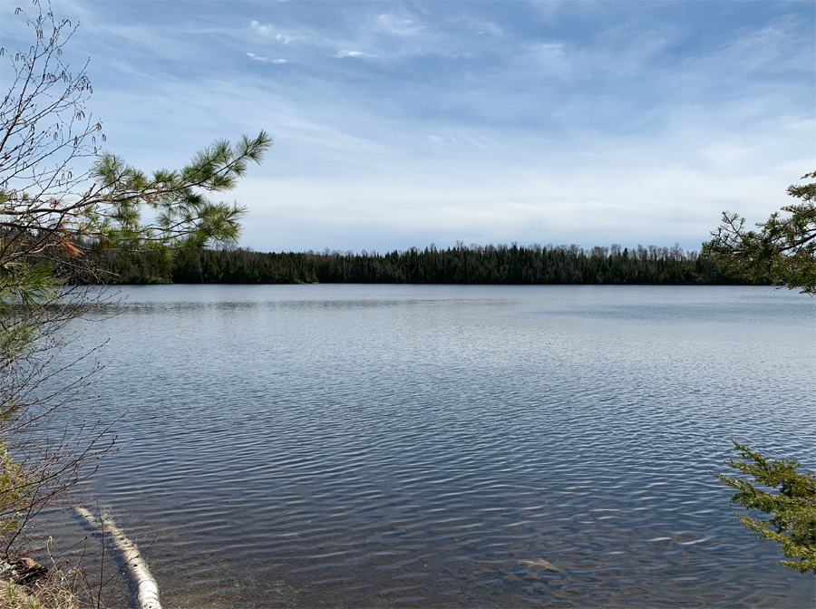 Moose Lake Campsite 10