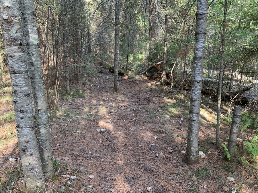 Moose Lake Campsite 6