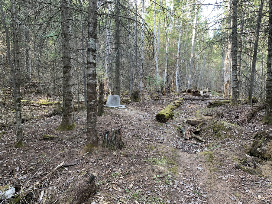 Moose Lake Campsite 7