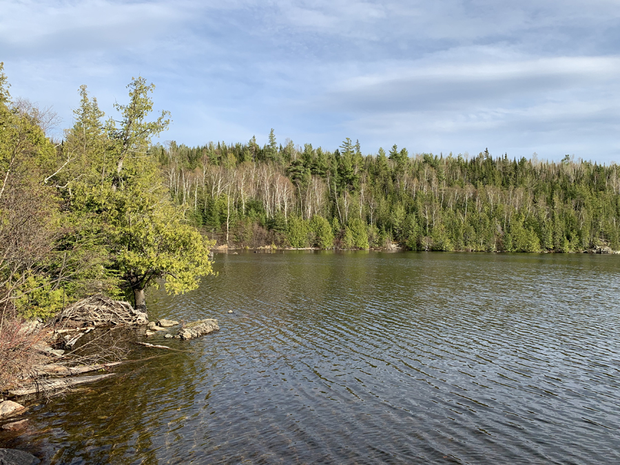 Moose Lake Campsite 8