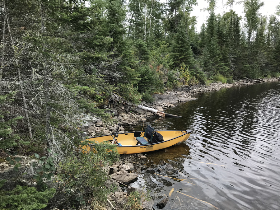 Mud Lake Campsite 1