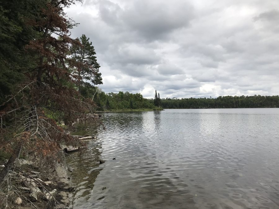 Ella Hall Lake to Mud Lake Portage 3