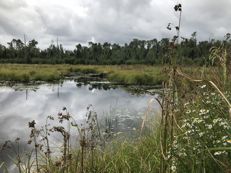Muskeg Creek 2