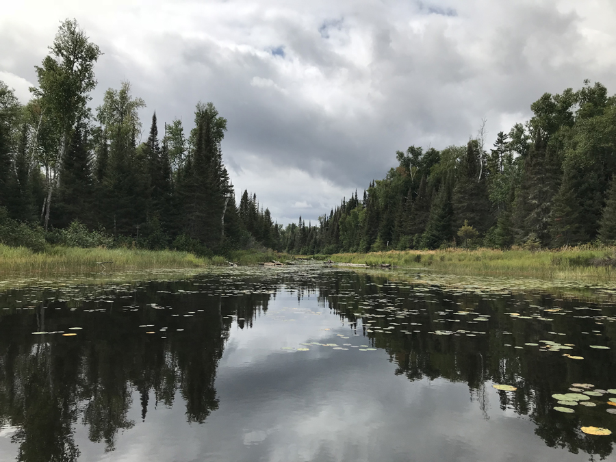 Muskeg Creek 1