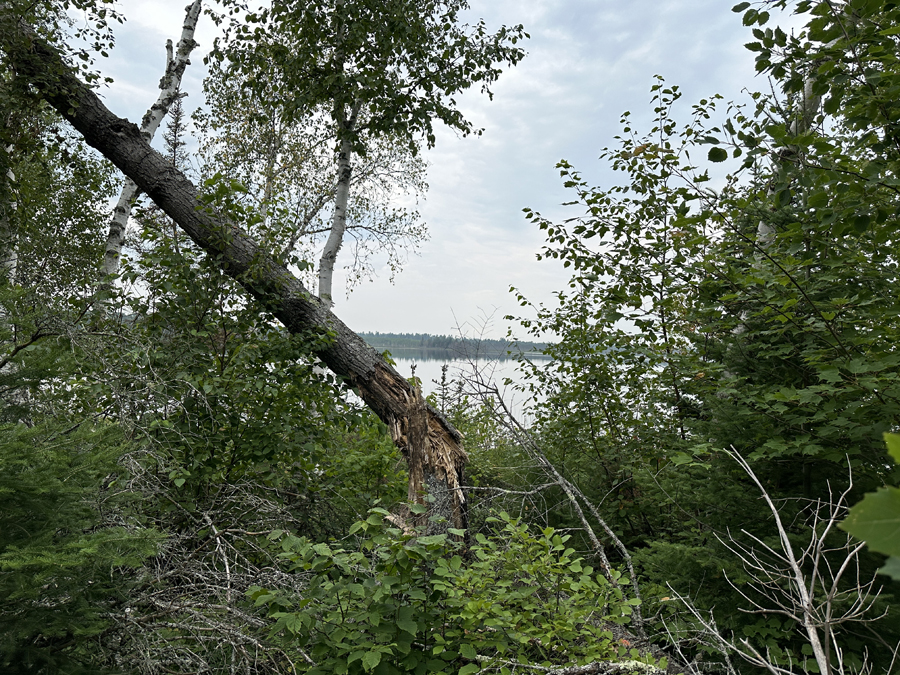 Muskeg Lake 0
