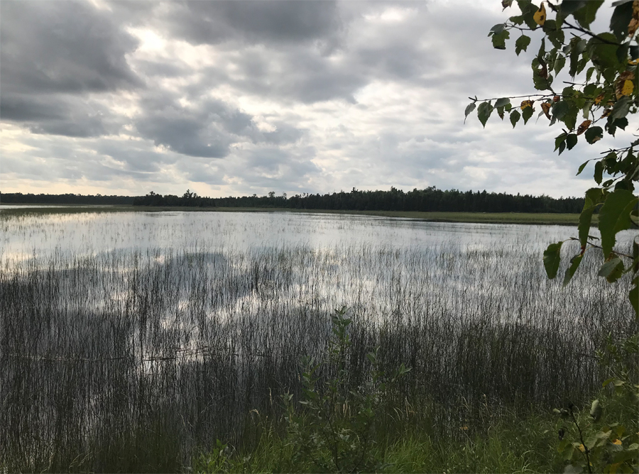 Muskeg Lake 3