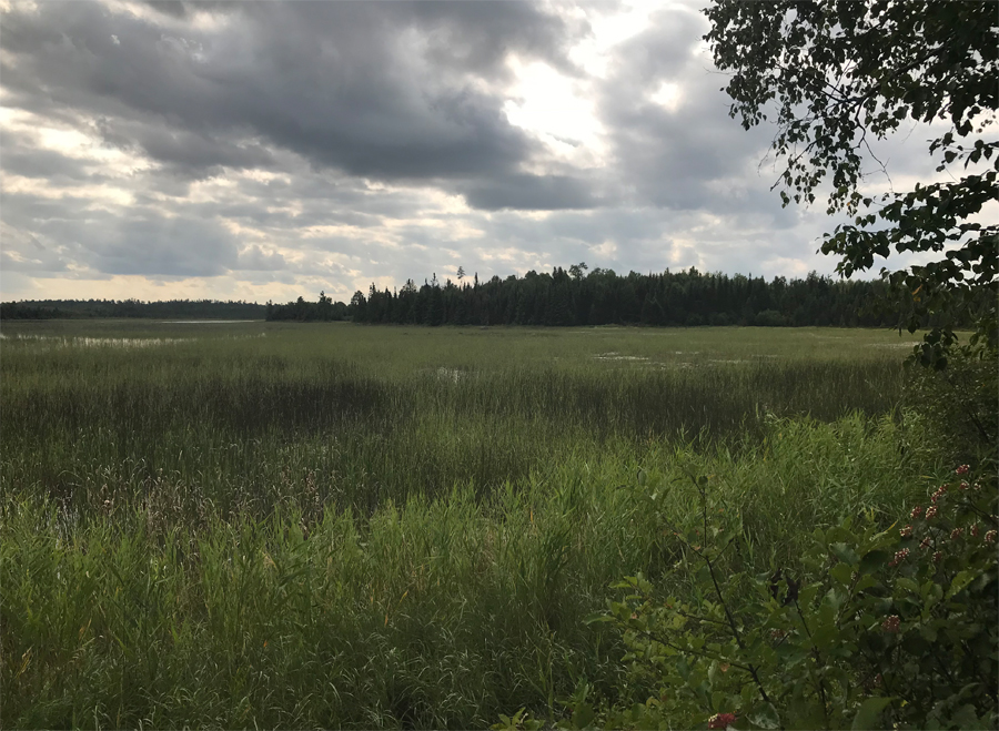 Four Mile Portage Lake 6