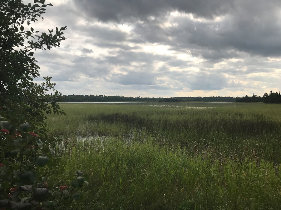 Muskeg Lake 3