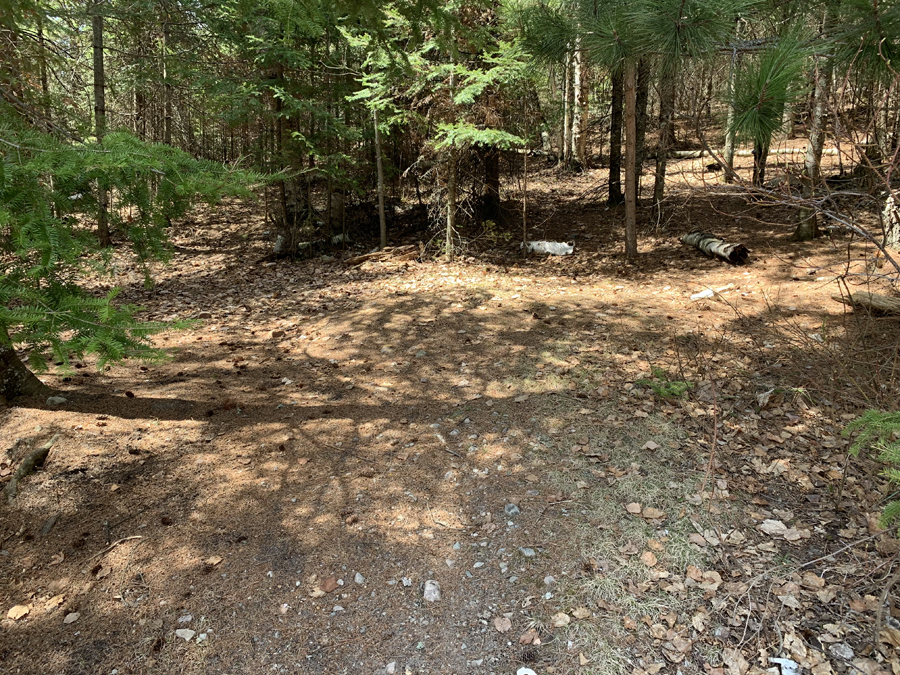 Newfound Lake Campsite 4