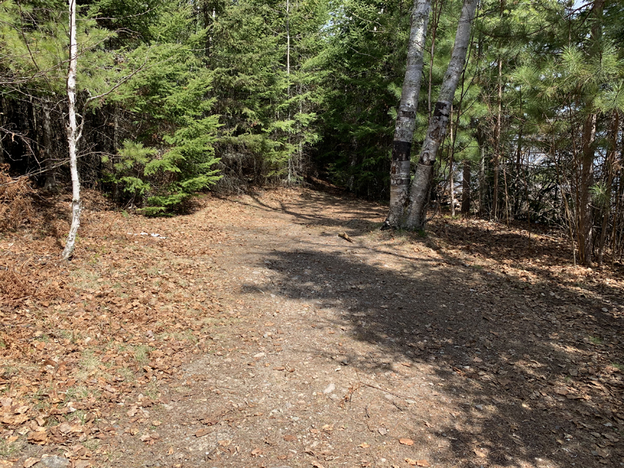 Newfound Lake Campsite 5