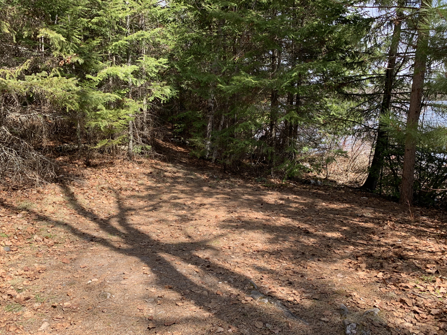 Newfound Lake Campsite 6