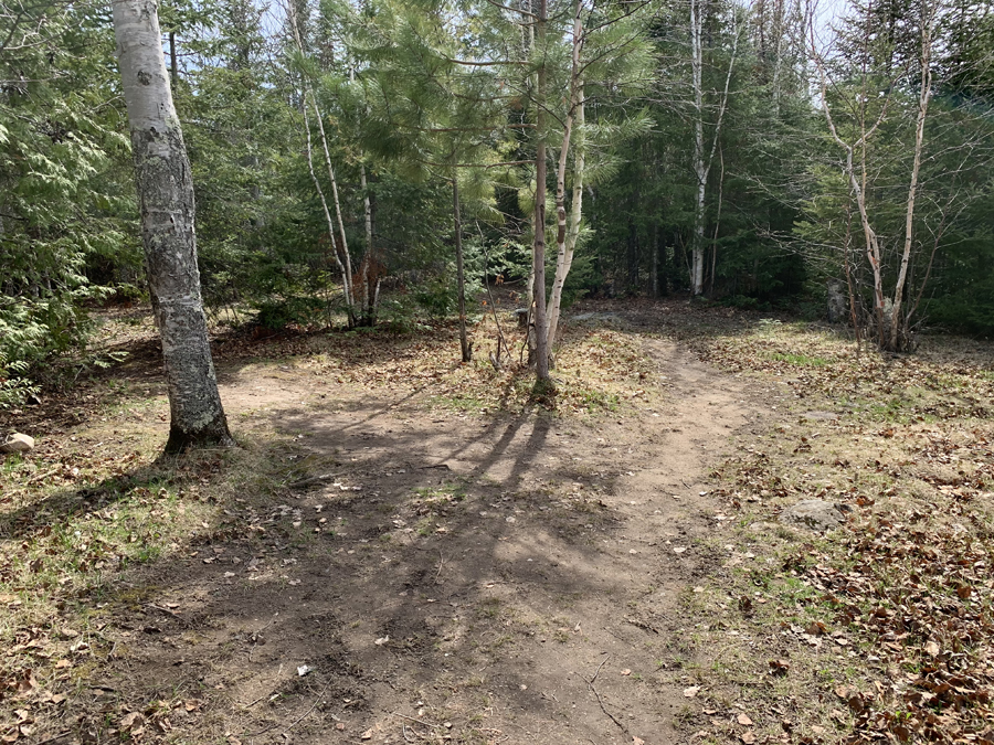 Newfound Lake Campsite 5