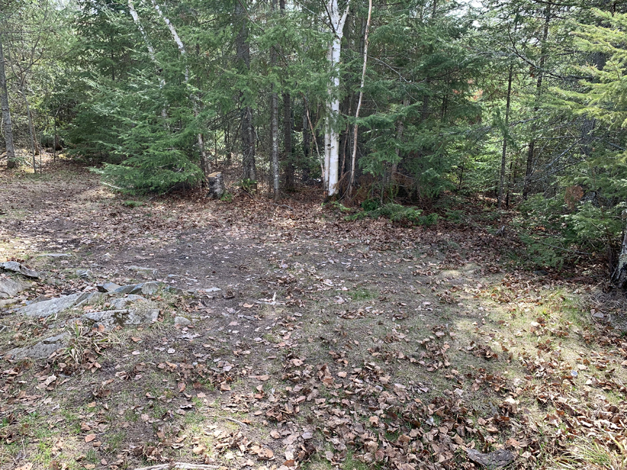 Newfound Lake Campsite 6