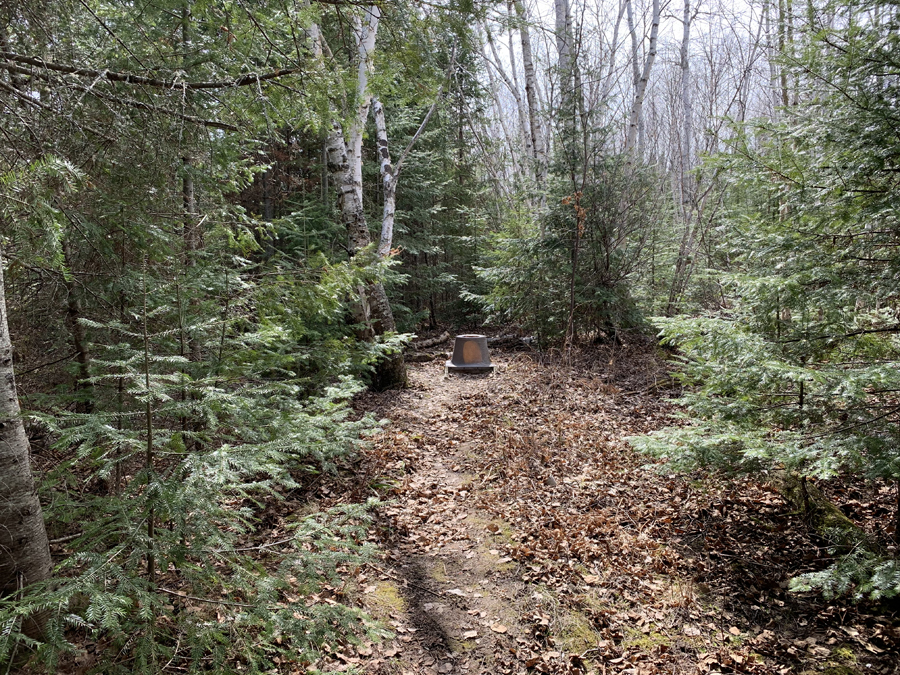 Newfound Lake Campsite 8