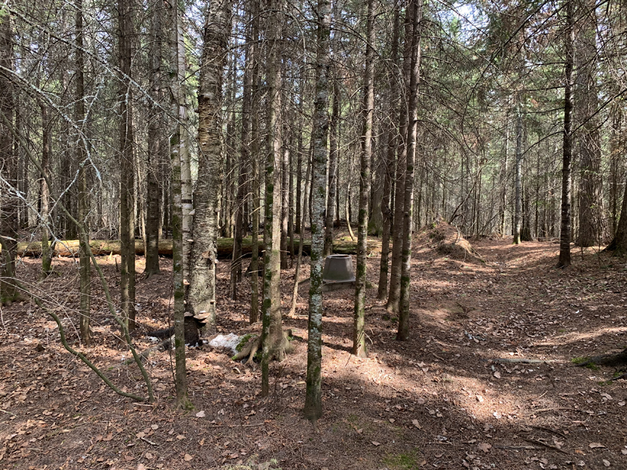 Newfound Lake Campsite 5