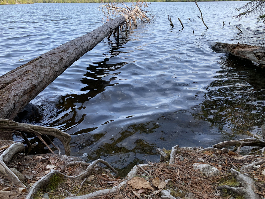 Newfound Lake Campsite 1